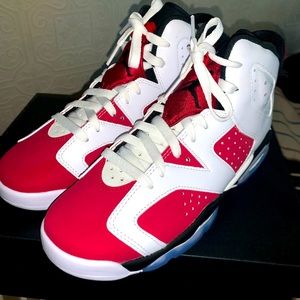 Jordan 6’s Carmine